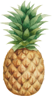 Pineapple Inventions